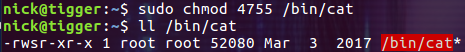 Linux Ȩ SUID,SGID,SBIT